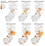 Oropouche virus case incidence by municipality and 2-week epidemiologic period, Espírito Santo state, Brazil. EW, epidemiologic week.