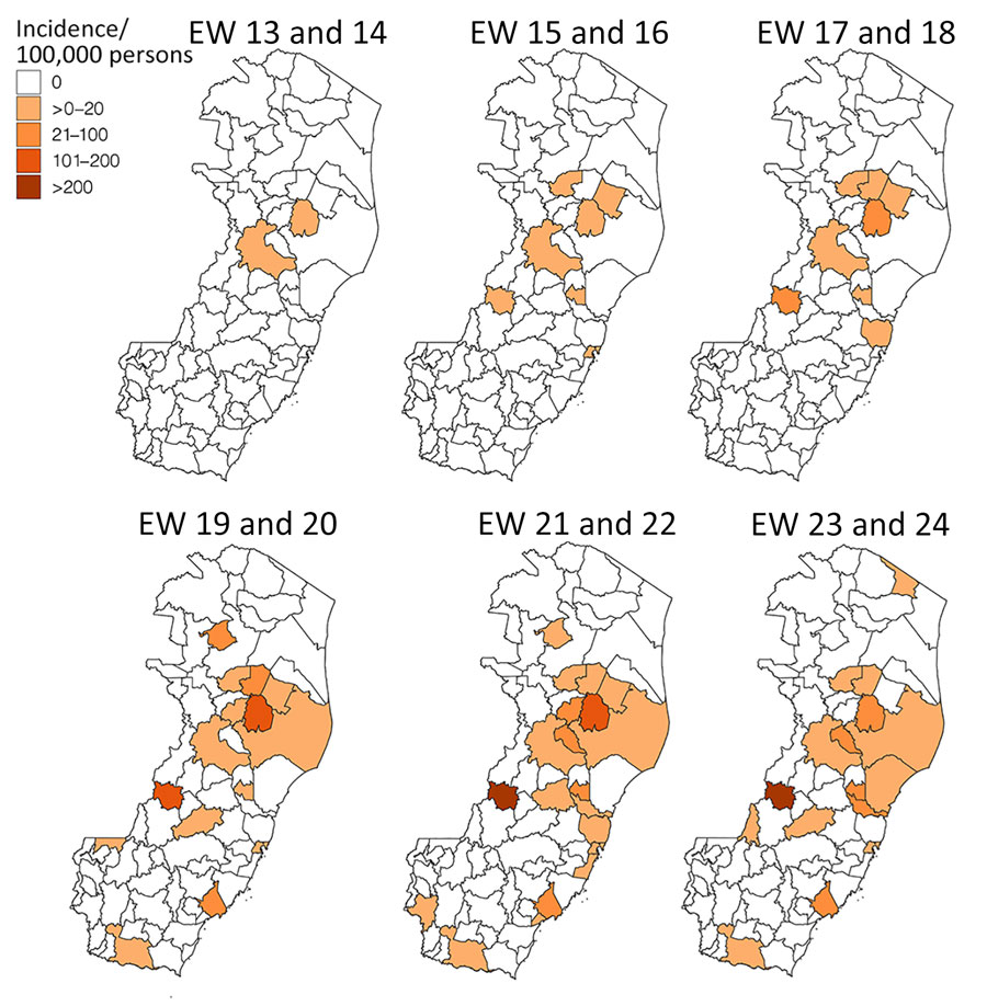 Oropouche virus case incidence by municipality and 2-week epidemiologic period, Espírito Santo state, Brazil. EW, epidemiologic week.
