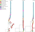 Bayesian phylogenetic trees created from analysis of Oropouche virus segments associated with the reassortant lineage M1L2S2 in Espírito Santo, Brazil, and reference sequences. Each tree includes a representative subsample of genomes from the epidemic clade (highlighted); tip colors indicate sampling locations. Branch support values are shown for the main clades. Scale bars indicate the number of nucleotide substitutions per site. S, small; M, medium; L, long. 