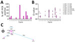 Molecular detection of influenza D virus (IDV) infection in swine, Northern Ireland. A) Percentage of nasal swab samples (n = 30) collected from 10- to 12-week-old growing pigs testing positive for IDV RNA by rRT-PCR. B) Plot of Ct values for IDV-positive rRT-PCR nasal swab samples per farm. Horizonal lines indicate mean Ct values. C) Locations and proximity of IDV-positive swine units. Ct, cycle threshold; rRT-PCR, real-time reverse transcription PCR.