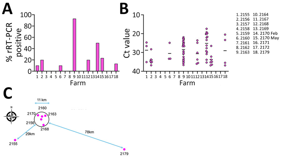 Molecular detection of influenza D virus (IDV) infection in swine, Northern Ireland. A) Percentage of nasal swab samples (n = 30) collected from 10- to 12-week-old growing pigs testing positive for IDV RNA by rRT-PCR. B) Plot of Ct values for IDV-positive rRT-PCR nasal swab samples per farm. Horizonal lines indicate mean Ct values. C) Locations and proximity of IDV-positive swine units. Ct, cycle threshold; rRT-PCR, real-time reverse transcription PCR.