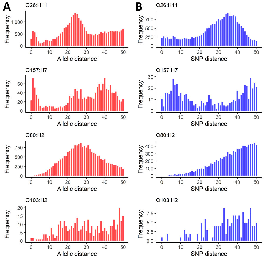 Characteristics from 5 years of routine whole-genome sequencing for epidemiologic surveillance of Shiga toxin–producing Escherichia coli, France, 2018–2022. A) Distribution of pairwise allelic distances; B) SNP distances, censured at 50. Shiga toxin–producing Escherichia coli serotypes are shown for each panel. SNP, single-nucleotide polymorphism.