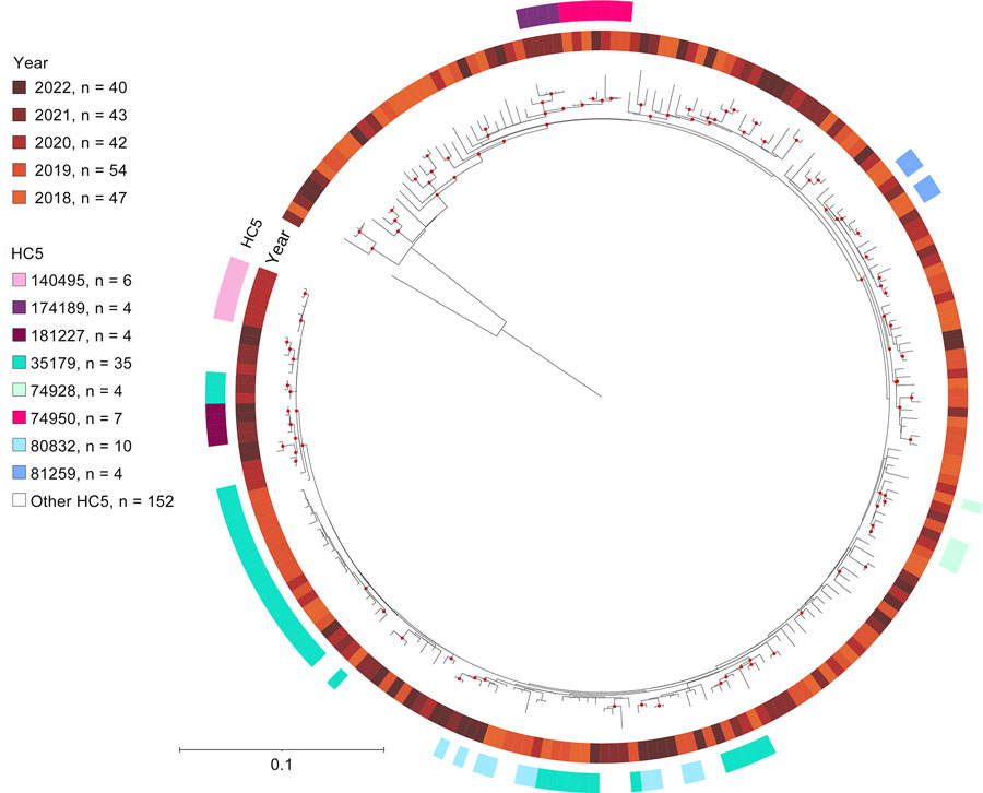 Single-nucleotide polymorphism–based maximum likelihood phylogenetic tree from 5 years of routine whole-genome sequencing for epidemiologic surveillance of Shiga toxin–producing Escherichia coli, France, 2018–2022. Tree was built based on the sequence alignment of 3,949 single-nucleotide variant sites of the recombination-free core genome of E. coli strain MOD1-EC6881 (GenBank accession no. GCF_002520045.1). Tree was midpoint-rooted and visualized with iTOL (https://itol.embl.de). Bootstrap support values >90% are indicated with red dots on the branches. Branch lengths and corresponding scale bar indicate numbers of single-nucleotide polymorphisms per base of the final alignment. HC5, hierarchical clustering at a threshold of 5 allelic differences.