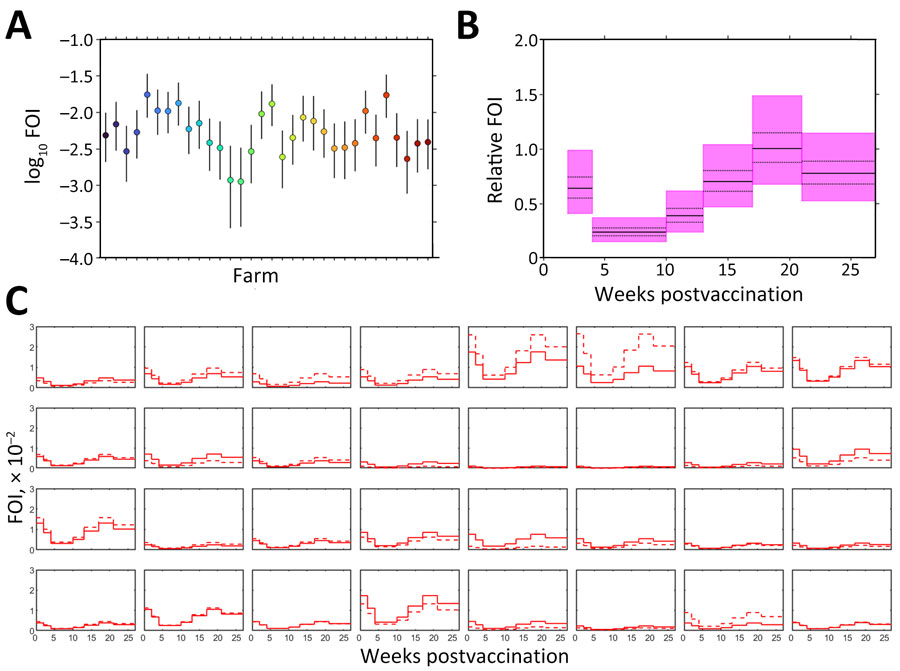 Estimated FOI of Crimean-Congo hemorrhagic fever virus for 32 commercial sheep farms in Burgas Province, Bulgaria. Sheep were vaccinated and tested for virus IgG over a 6-month follow-up. A) Baseline FOI for each farm. Circles indicate posterior medians; error bars indicate 95% credible intervals. B) Relative FOIs during each sampling period. Posterior median (solid black lines), interquartile range (dashed black lines), and 95% credible interval (purple shading) are indicated. C) Posterior median FOI for unvaccinated (solid lines) and vaccinated (dashed lines) animals in each farm. Each plot represents data from 1 farm. Seroconversion was determined on the basis of virus nucleoprotein IgG levels. FOI, force of infection.