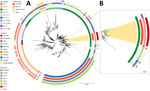 Phylogenetic tree of Salmonella Typhi genotype 4.3.1, including the 17 CefR 4.3.1.2.B1 strains detected in findings from a study of an outbreak of CefR S. enterica serovar Typhi, Bangladesh, 2024. A) Phylogenetic tree of 546 genomes belonging to genotype 4.3.1 and its subtypes. CefR strains sequenced in our study belong to genotype 4.3.1 and are highlighted in yellow. Tree was built following a pipeline described earlier (10) and displays different CefR genes, countries of isolation, and associated plasmid elements. For context, 529 genomes from genotype 4.3.1 and its subtypes were also included. Of those, 249 (10%) were randomly selected from 2,567 genomes (genotype 4.3.1.2 and subtypes) available on Pathogenwatch by genotype, year, and country (accessions available for 2,542; accessed on 14 July 2024), and 280 were from previous studies conducted in Bangladesh, India, and Pakistan (14). B) Zoomed-in view of the subclade containing the CefR strains from our study in Bangladesh. Scale bars indicate XXX. CefR, ceftriaxone-resistant.