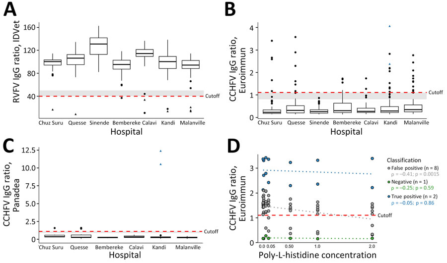 ELISA reactivity showing seroprevalence of Rift Valley and Crimean-Congo hemorrhagic fever viruses, Benin, 2022–2023. IgG ELISA (ID.Vet, https://bioadvance.life/en/id-vet-2) for RVFV with a sample/negative percentage <40.0 is considered positive. IgG ELISAs (Euroimmun, https://www.euroimmun.com; Panadea Diagnostics, https://www.panadea-diagnostics.com) for CCHFV with a ratio >1.1 are considered positive according to the manufacturer. A) RVFV competitive ELISA (ID.Vet) using nucleoprotein as antigen. Positive samples, n = 10/650. B) CCHFV indirect ELISA (Euroimmun) using nucleoprotein as antigen. Positive samples, n = 40/650. C) CCHFV immune complex capture ELISA (Panadea) using nucleoprotein as antigen. Positive samples, n = 5/92). D) Reduced indirect IgG ELISA reactivity of CCHFV (Euroimmun) with poly-L-histidine concentrations of 0.01, 0.05, 0.10, 0.50, 1.00, and 2.00 mg/mL. Box plots shown sample distribution, displaying medians (thick lines within boxes) and interquartile ranges (box top and bottom edges); whiskers indicate 1.5× interquartile range. Red lines show cutoff levels for ELISAs; gray shading shows the area for borderline results; black triangles show samples positive by RVFV immunofluorescence assay; blue triangles show samples positive by CCHFV immunofluorescence assay. The Spearman correlation was performed in R, and boxplots for RVFV and CCHFV were plotted using the ggplot2 package in R (https://www.r-project.org). Because of the low detection rates of RVFV-specific and CCHFV-specific IgG, negative reverse transcription PCR results, and low serum volumes, we did not perform IgM analyses. CCHFV, Crimean-Congo hemorrhagic fever virus; RVFV, Rift Valley fever virus.