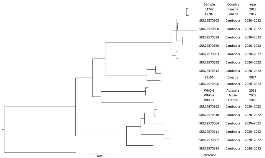 Phylogenetic analysis of Neisseria gonorrhoeae isolates in study of extensively drug-resistant N. gonorrhoeae infection, Canada. Isolate 69155 was identified from the patient in this investigation. Tree was generated using 3,691 sites. Scale bar indicates number of substitutions per site.