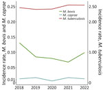 Incidence rates of tuberculosis cases per 100,000 population by causative agent and year of notification, Spain, 2018–2022. Scales for the y-axes differ substantially to underscore patterns but do not permit direct comparison.