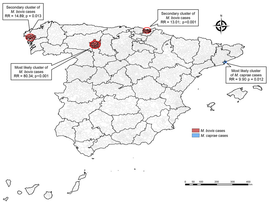 Spatial clusters of tuberculosis infections caused by Mycobacterium bovis and M. caprae, Spain, 2018–2022. RR, relative risk.