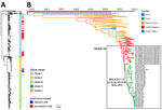 Phylogenetic analysis of Salmonella enterica serovar Enteritidis global lineages and those from South Korea. A) Maximum-likelihood phylogenetic tree of whole-genome single-nucleotide polymorphisms of 1,268 global Salmonella Enteritidis isolates. Global clades separated by using FastBAPS (20) and isolates from South Korea are indicated. Scale bar indicates number of single-nucleotide polymorphisms per site. B) Time-scaled maximum clade credibility tree of the Global II clade of Salmonella Enteritidis. Box shows Global IIa clade sequences from South Korea and the United Kingdom; inferred median MRCA and 95% HPD interval are indicated for isolates from South Korea. HPD, highest posterior density; MRCA, most recent common ancestor.