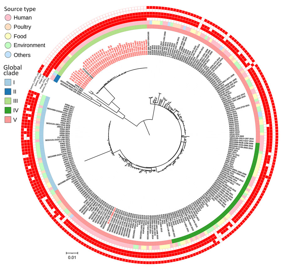 Phylogenetic analysis of distinct Salmonella enterica serovar Enteritidis lineage since 2020, South Korea. Maximum-likelihood phylogenetic tree was constructed for whole-genome single-nucleotide polymorphisms of Salmonella Enteritidis from South Korea (n = 223) and isolates sequenced in this study (n = 38). Red text indicates isolates from this study. Innermost ring indicates clades separated by using FastBAPS (20), followed by sources of isolates. Five outer rings indicate the presence of different prophages; red boxes indicate the presence of prophages with a total count of >30. Isolation year is indicated at the end of each isolate number. Scale bar indicates number of single-nucleotide polymorphisms per site.