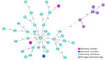 Minimum-spanning tree of an ad hoc Corynebacterium silvaticum core-genome multilocus sequence typing scheme of 2012 target loci displaying isolates from 2 cases in Germany (KL1281 and KL1848), and reference sequences. Shown are relationships with 35 animal-derived isolates from Germany and 8 isolates from clade 1 from pigs in Portugal. Allelic distances are indicated at connection lines.