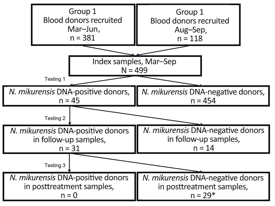 Flowchart of the study design and follow-up testing of N. mikurensis–infected blood donors in study of tickborne Neoehrlichia mikurensis in the blood of blood donors, Norway, 2023. *Two patients did not provide blood samples for posttreatment testing.