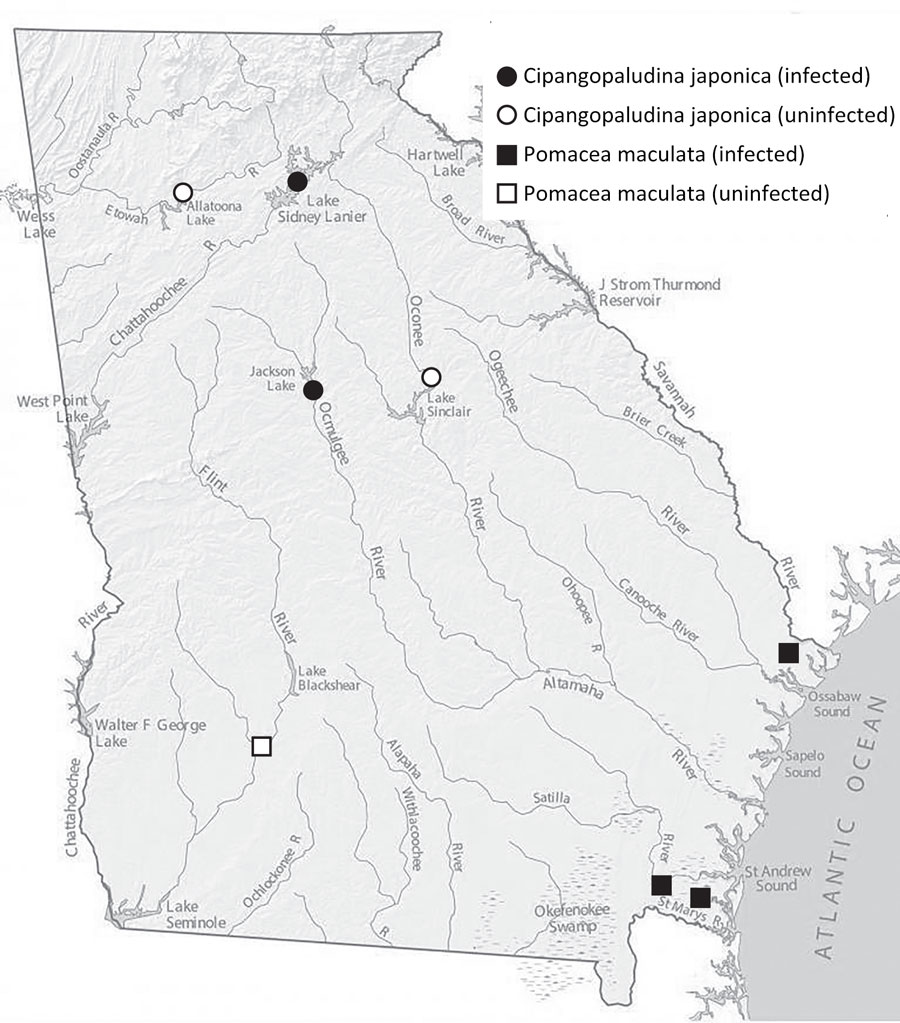 Sites where invasive apple snails (Pomacea maculata) and mystery snails (Cipangopaludina japonica) were collected and screened for rat lungworm (Angiostrongylus cantonensis), Georgia, USA.