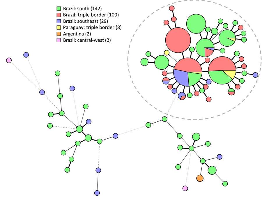 Minimum-spanning tree of isolates in study of Sporothrix brasiliensis treatment failure without initial elevated itraconazole MICs in felids at border of Brazil. Tree comprises 283 isolates, including 108 isolates based on 9 short tandem repeat markers from this study (red and yellow); green, blue, and pink indicate comparison isolates from previous studies; and numbers in the key represent the number of isolates from each location. Gray dashed circle indicates Rio de Janeiro clade. Regions of Brazil: south, Paraná, Rio Grande do Sul; southeast, Rio de Janeiro, Minas Gerais, São Paulo, Espírito Santo; central-west, Federal District.