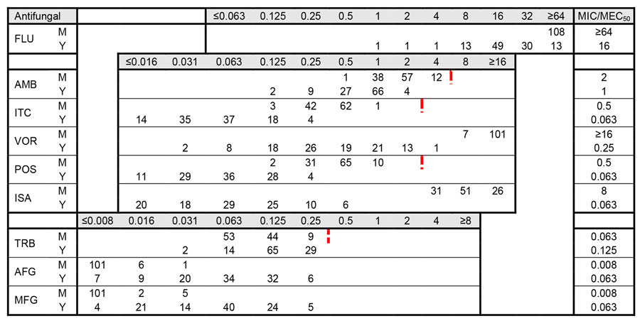 Distribution of MICs for 108 clinical isolates in study of Sporothrix brasiliensis treatment failure without initial elevated itraconazole MICs in felids at border of Brazil. MICs were determined according to Clinical Laboratory and Standards Institute M38 (22) and M27 (24) guidelines. Red dotted lines indicate division of wild-type versus non–wild-type isolates based on ECV values proposed by Espinel-Ingroff (23), when available. The ECV value for voriconazole is 32 µg/mL. MICs are given in µg/mL. For AFG and MFG, the MEC50 (filamentous phase) was determined. AFG, anidulafungin; AMB, amphotericin B; FLU, fluconazole; ISA, isavuconazole; ITC, itraconazole; M, mycelial phase; MEC50, minimal effective concentration that inhibits 50% of isolates; MFG, micafungin; MIC50, MIC that inhibits 50% of isolates; POS, posaconazole; TRB, terbinafine; VOR, voriconazole; Y, yeast phase.