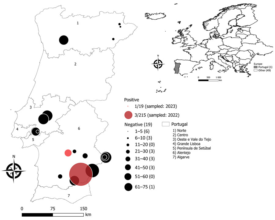 Study sites in Portugal, sample sizes, and locations of seropositive rabbits in study of Crimean-Congo hemorrhagic fever virus circulation in wild European rabbits, Portugal, 2018−2023. Inset map shows location of Portugal in Europe (gray shading).