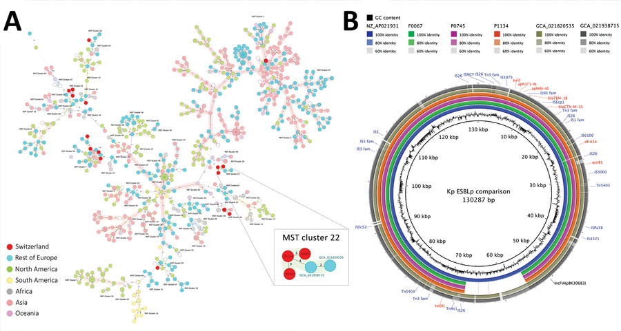Phylogeny and related plasmids detected in ESBL–producing Klebsiella pneumoniae in human and food samples, Switzerland, 2018–2019. A) MST of 972 Klebsiella pneumoniae sequence type 14 international samples based on core-genome multilocus sequence typing (cgMLST) profiles (K. pneumoniae sensu lato cgMLST version 1.0 in SeqSphere+ version 9.0.0 [Ridom, https://www.ridom.de]). Inset image shows detail the mixed MST cluster 22. Color-filled circles denote the different geographic origin. Isolates of the same cluster (<15 allelic differences) are surrounded by a colored shadow. Numbers in connecting lines represent allelic distance values. B) Circular BLAST Ring Image Generator (BRIG, https://github.com/happykhan/BRIG) comparison of the ESBL plasmids from isolates in this study. Plasmid pWP2-W18-ESBL-06_2 (accession no. NZ_AP021931; blue ring) was identified as the closest hit in the PLSDB database version 2023_11_03_v2 (Universität des Saarlands, https://ccb-microbe.cs.uni-saarland.de/plsdb2025). Plasmid of the food isolate (F0067) ESBL-producing K. pneumoniae shown in green. Patient A isolate (P0745) shown in pink ring; patient B isolate (P1134) shown in orange ring. Brown-gray rings show short-read assembly from isolates GCA_21938715 and GCA_021820535 from the University Hospital Jena, Jena, Germany. Color intensity of concentric rings represents percent identity to the reference plasmid, pWP2-W18-ESBL-06_2. GC content and plasmid length are displayed as inner rings. Outer rings show antimicrobial resistance genes (red font), replicons (black font), and IS and Tn (blue font) sequences. ESBL, extended-spectrum β-lactamase; IS, insertion sequence; MST, minimum spanning tree; Tn, transposon.