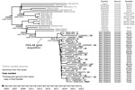 Evolutionary reconstruction for OXA-48–producing Escherichia coli sequence type (ST)131 genomes obtained from cases and food handlers compared with publicly available genomes in study of community outbreak linked to food premises, Hutt Valley, New Zealand, August 2018–December 2022. A time-calibrated maximum clade credibility tree was inferred from 323 nonrecombinant orthologous biallelic core-genome single-nucleotide variants (SNVs) from 50 ST131 genomes. SNVs were derived from a core-genome alignment of ≈4,767,900 bp and were called against the chromosome of 18AR0845 (GenBank accession no. CP175691). The x-axis represents the emergence time estimates. Case numbers (1–25), shown in bold after the genome codes, correspond to case reference numbers shown in Appendix Table 2). Case numbers FH1–4 indicate genomes obtained from food handlers working at a community-based food premises to which 18 of the case-patients had been exposed. Asterisks indicate subsequent genomes obtained from the same case-patient or food handler.