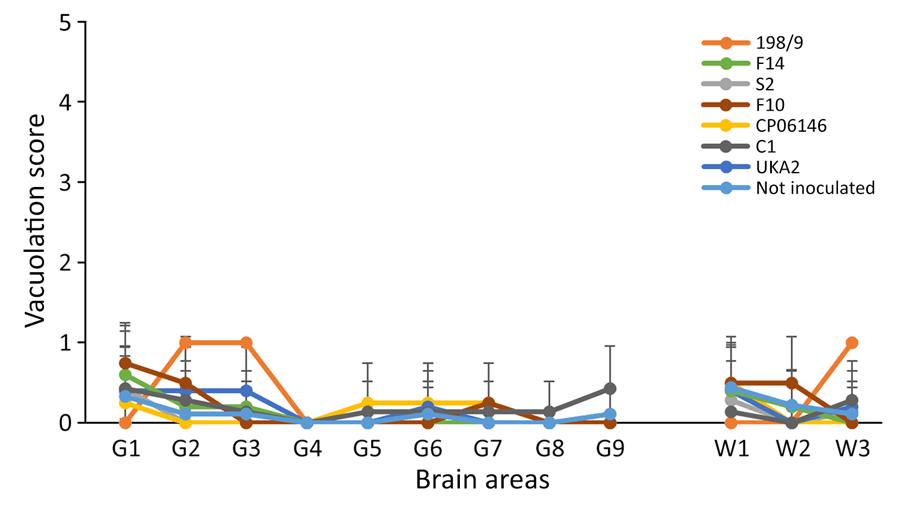 Histologic analysis of brain tissue from K222-Tg516 homozygous mice inoculated with classical scrapie in study of propagation of classical scrapie prions. Comparative analysis shows the vacuolar lesion profile in homozygous K222-Tg516 mice inoculated with different scrapie isolates compared with noninoculated mice. G, gray matter; W, white matter. 