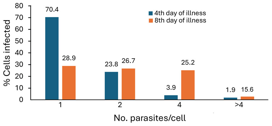 Dynamics of the parasite population in erythrocytes in case-patient in study of human babesiosis caused by Babesia venatorum, Russia, 2024. As the infection progressed with constant parasitemia (<3%), 4 main populations of infected red blood cells were seen: 1 parasite, 2 parasites, 4 parasites, and >4 multioccupancy (>4 parasites).