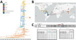 Phylogenetic analysis of Zika viruses (ZIKV) identified in a study of co-circulation of dengue and South American–origin Zika viruses, Pakistan, 2021–2022. A) BEAST (https://beast.community/index.html) time-aware maximum clade credibility tree describing inferred genetic lineage of global Asian-lineage ZIKV, colored by observed and estimated geographic origin. Branch backbones are colored when called with >80% confidence by Augur. Two newly described viruses from Pakistan are circled in orange, with the closest observed ancestors derived from circulating South American ZIKV. Open circles indicate posterior probability >0.9, solid dots 0.8–0.9. B) Phylogeographic map illustrating inferred international ZIKV transmission events originating in Brazil from viruses included in panel A. Map was visualized by inferred origin and transmission using Auspice (https://docs.nextstrain.org/projects/auspice/en/stable/index.html). Circle size is relative to the number of included viruses from the country and colored by continent. Red line highlights the inferred Brazil to Pakistan incursion. C) ZIKV sequences selected from the same clade and subclade as Pakistan-origin viruses aligned to G005/PAK/2021. Identical amino acid residues are shown as dots. We identified 2 changes in prM, T74A and S109P (left), and 1 in NS3, K587R (right). G005/PAK/2021 corresponds to patient E; G007/PAK/2021 corresponds to patient F. NS, nonstructural; UTR, untranslated region.