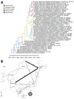 Discrete phylogeographic reconstruction of diffusion dynamics of highly pathogenic avian influenza A(H5N1) virus in wild birds, East Asia, 2023–2024. A) Maximum clade credibility tree constructed by using the hemagglutinin gene of H5N1 viruses. Each branch is colored according to the geographic location. GISAID (https://www.gisiad.org) accession numbers are shown. Scale bar shows years of detection in decimal year format. B) Visualization of transmission dynamics inferred by using the geographic location trait of countries adjacent to South Korea. Arrows represent the direction of the viral transmission; annotated values along arrows represent Bayes factors. Thick arrows indicate strongly supported routes (Bayes factor >20, posterior probability >0.8). Maps provided by d-maps.com (https://d-maps.com).