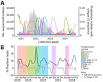 Weekly numbers of sequenced SARS-CoV-2 isolates, proportions with unique S1 spike sequences, and national percentages of positive SARS-CoV-2 tests and percentage changes in SDI, United States, October 2020–September 2024. A) Numbers of sequenced isolates (gray bars) and proportions of isolates with each unique S1 sequence (colored lines). Unique S1 sequences with a maximum proportion of <0.02 during the study period are included in the total number of isolates but not shown as proportion lines to improve visibility of patterns. B) National smoothed (3-week) percentages of positive SARS-CoV-2 tests reported to the NREVSS and percentage changes in SDI of S1 spike proteins. NREVSS, National Respiratory and Enteric Surveillance System; SDI, Simpson diversity index.