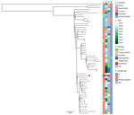 Maximum-likelihood phylogenetic tree of clonal complex 35 Neisseria meningitidis isolates used in investigation of antimicrobial-resistant clonal complex 11 N. meningitidis–associated urethritis cluster, Thailand. The tree is based on 65 core-genome single-nucleotide polymorphisms of isolates collected from multiple disease types. Red dot indicates the single N. meningitidis–associated urethritis isolate (NM4) from this study. Scale bar indicates nucleotide substitutions per site. NA, not available.