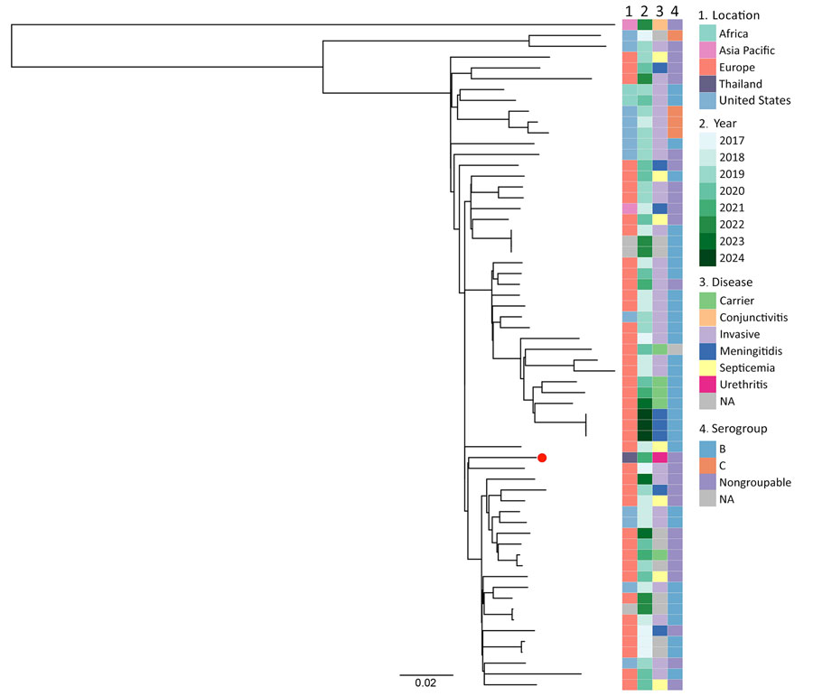 Maximum-likelihood phylogenetic tree of clonal complex 35 Neisseria meningitidis isolates used in investigation of antimicrobial-resistant clonal complex 11 N. meningitidis–associated urethritis cluster, Thailand. The tree is based on 65 core-genome single-nucleotide polymorphisms of isolates collected from multiple disease types. Red dot indicates the single N. meningitidis–associated urethritis isolate (NM4) from this study. Scale bar indicates nucleotide substitutions per site. NA, not available.