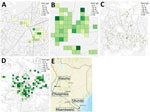 Sites used in study of seroincidence rate of typhoidal Salmonella in children, Kenya, 2017–2018. The serologic density of HlyE IgG, measured in ELISA units, was mapped onto study sites. Boxes represent a 100 m × 100 m grid. Kisumu (A) and Ukunda (B) are the more densely populated sites, Chulaimbo (C) and Msambweni (D) the less densely populated sites. E) Locations of study sites within Kenya.  