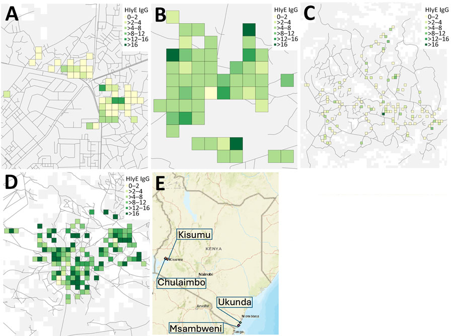 Sites used in study of seroincidence rate of typhoidal Salmonella in children, Kenya, 2017–2018. The serologic density of HlyE IgG, measured in ELISA units, was mapped onto study sites. Boxes represent a 100 m × 100 m grid. Kisumu (A) and Ukunda (B) are the more densely populated sites, Chulaimbo (C) and Msambweni (D) the less densely populated sites. E) Locations of study sites within Kenya.