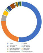 Proportions of species involved in invasive trichosporonosis cases from study of clinical manifestations of emerging Trichosporon species infections, France, 2002–2022. The cf. designation indicates putative undescribed species.