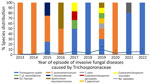 Species distribution over time for RESSIF survey used in a study of the clinical manifestations of emerging Trichosporon species infections, France, 2002–2022. Number of episodes diagnosed in the centers participating in the survey are reported for each year. The cf. designation indicates putative undescribed species.
