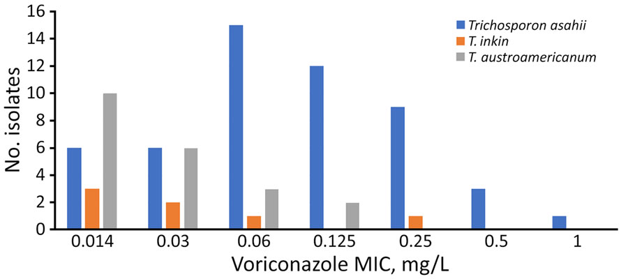 Voriconazole MIC distribution for 3 species of Trichosporon from study of clinical manifestations of emerging Trichosporon species infections, France, 2002–2022. MICs determined by using the EUCAST method.
