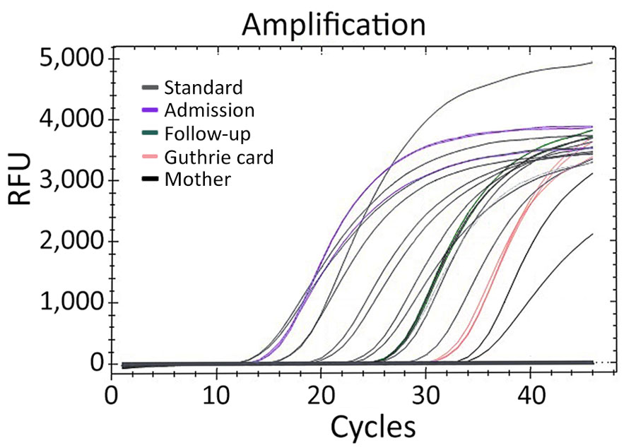 Quantitative PCR amplification of samples from infant and mother in study of congenital malaria, Portugal. We obtained results from arithmetic average values of triplicate results. Additional curves represent standard results obtained by serial dilution to determine parasite quantification. Results were 0.07 parasites/µL from infant’s Guthrie card sample 4 days after birth; 1,178.13 parasites/µL from sample taken at hospital admission; 21.99 parasites/µL from sample taken at follow-up appointment; 0.03 parasites/µL from sample taken from the mother at follow-up appointment. RFU, relative fluorescence unit.