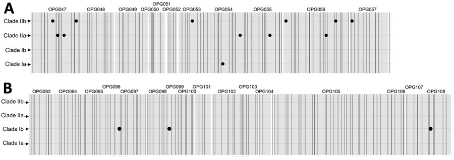 Conserved SNPs over the 10-kb and the 15-kb regions identified in silico among respective clades from 88 published moneypox virus genomes for study of partial-genome amplicon sequencing for improvement of genomic surveillance during mpox outbreaks. A) Unique SNPs over the 10-kb region. B) Unique SNPs over the 15-kb region. Large black points represent SNPs. Vertical shaded bars represent the binding sites of the amplicon primers. OPG, orthopoxvirus gene; SNP, single-nucleotide polymorphism.