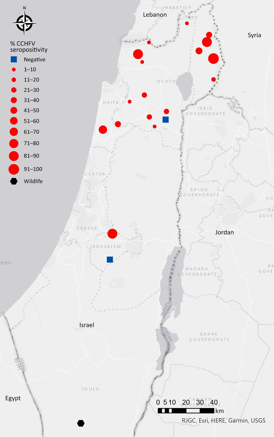 Distribution of samples seropositive for CCHFV in study of serologic and molecular evidence of CCHFV in cattle and ticks, Israel, April 2024–February 2025. Red dots represent seropositive beef cattle herds. Size of dots correlates with percentage of CCHFV seropositivity. Blue rectangles represent CCHFV seronegative herds. Black hexamer represents 2 of 200 CCHFV seropositive wild animals that were tested. Map created by using ArcGIS software (Esri, https://www.esri.com). CCHFV, Crimean-Congo hemorrhagic fever virus.
