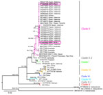 Maximum-likelihood phylogenetic tree of rat lungworm (Angiostrongylus cantonensis) detected in rats and gastropods, Italy. Tree is based on cytochrome c oxidase subunit 1 gene (1,578 bp) and partial sequences (215–561 bp) calculated by a Tamura-Nei plus model in IQ-TREE (http://www.iqtree.org). Labeling of the clades follows previous studies (9). Sequences are labeled by GenBank accession numbers, where available, and locality of origin is indicated. Pink boxes indicate the 2 unique sequences from this study. Numbers at nodes indicate percent ultrafast bootstrap support. Only values >75 are shown. Scale bar indicates nucleotide substitutions per site.