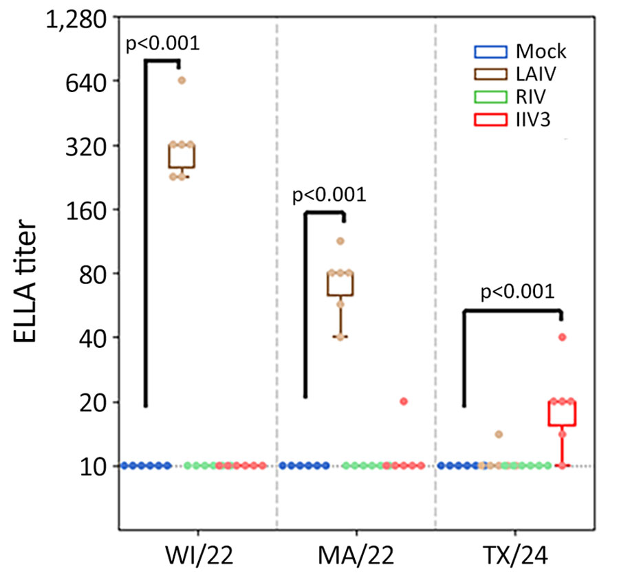 Neuraminidase-inhibiting antibody titers measured by using ELLA in study of the effect of seasonal influenza vaccines on influenza A(H5N1) clade 2.3.4.4b virus infection in ferrets. n = 6 ferrets per the vaccinated group, n = 12 ferrets in the mock vaccinated group. Colored dots indicate individual values, horizontal lines within boxes represent geometric mean titers, box tops and bottoms indicate interquartile ranges, and error bars indicate limits of the distribution. Dotted gray horizontal line indicates limit of detection. ELLA, enzyme-linked lectin assay; IIV3, Fluarix trivalent inactivated influenza vaccine (GlaxoSmithKline Biologicals, https://www.gsk.com); LAIV, FluMist live attenuated influenza vaccine (AstraZeneca, https://www.astrazeneca.com); MA/22, A/Massachusetts/18/2022(H3N2); RIV, Flublok recombinant influenza vaccine (Sanofi, https://www.sanofi.com); TX/24, A/Texas/37/2024(H5N1); WI/22, A/Wisconsin/67/2022(H1N1pdm09).