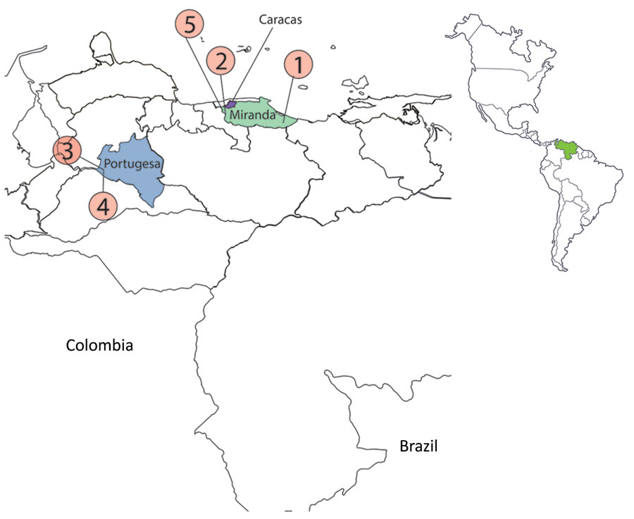 Locations of Oropouche virus cases detected in Venezuela, 2025. The numbers represent the cases detected. The cases were detected in the Portugesa and Miranda states. The first detected Oropouche virus case was from January 27, 2025, although official notification was performed in March 2025, when sequences were available. Inset shows location of Venezuela in the Americas.