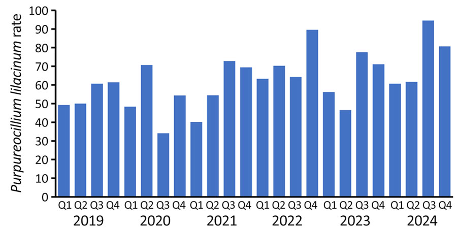Rates of Purpureocillium lilacinum mold among laboratory culture results, United States. Graph shows P. lilacinum cultures per 100,000 fungal cultures by year and quarter during March 2019–February 2024.