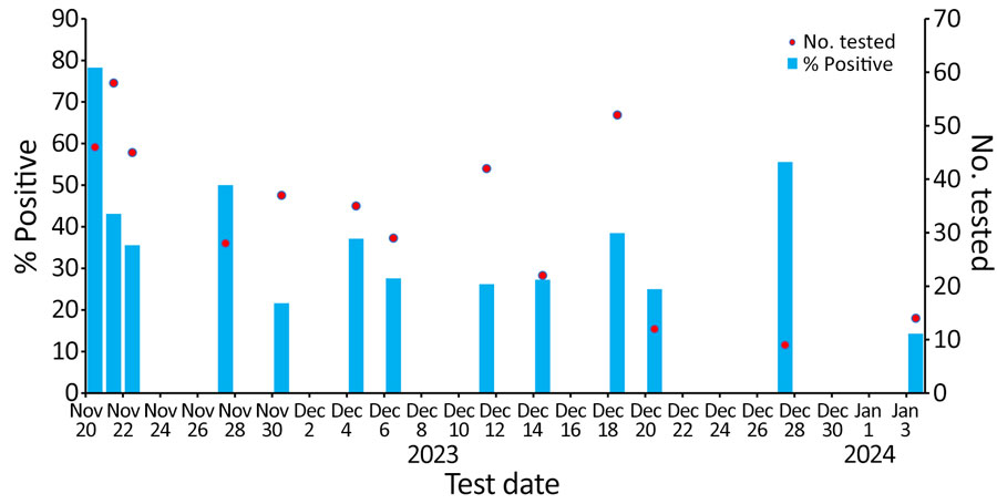 Group A Streptococcus percentage positivity on point prevalence screening dates and number of persons tested per day in shelter A, Chicago Illinois, USA, November 20, 2023–January 3, 2024.