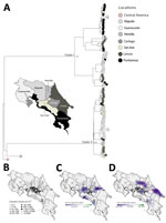 Maximum-likelihood phylogeny and spatiotemporal expansion of dengue virus (DENV) serotype 2 (DENV-2) and emergence of cosmopolitan genotype, Costa Rica, 2024. A) Time-stamped phylogenetic tree of DENV-2 genotype III, showing 2 independent introductions of this genotype into Costa Rica, including 1 major transmission cluster. Tips are colored according to sampling location. Scale bar indicates nucleotide substitutions per site. Full phylogeny shown in Appendix 1 Figure. B) Population density map of Costa Rica, highlighting areas with elevated DENV transmission potential. C, D) Spatiotemporal expansion of DENV-2 genotype III lineage D.1.2, illustrating the progressive spread of 2 distinct clades, clade I (C) and clade II (D), from urban centers to coastal regions between May 2023 and March 2024.