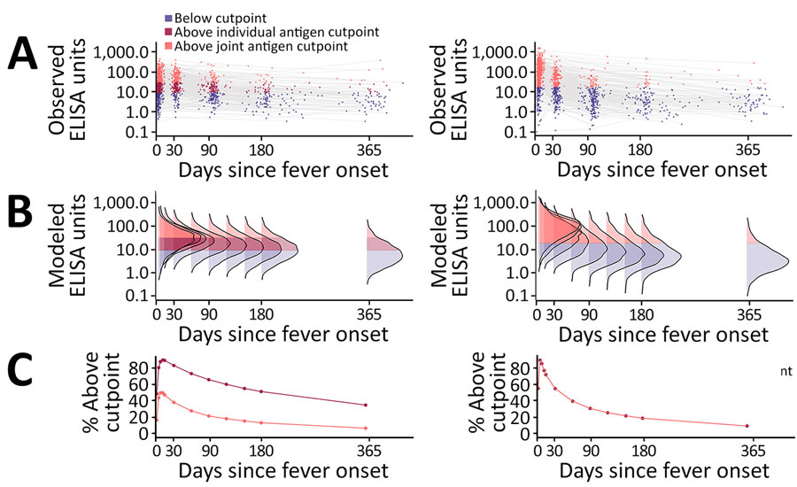 Longitudinal HlyE (left) and LPS (right) IgA responses in enteric fever cases during the year after fever onset in study of the use of Salmonella Typhi hemolysin E and lipopolysaccharide IgA to identify enteric fever cases, South Asia. A) Observed antibody responses from blood culture–confirmed enteric fever cases. Colored points represent measured antibody ELISA concentrations and gray lines connect observations from the same participant. B) Distribution of antibody responses from fitted hierarchical 2-phase within-host models during the year after infection. C) Percentage of modeled antibody responses above the individual and joint cutpoints for enteric fever case identification during the year after infection.