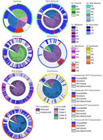 Midpoint-rooted maximum-likelihood phylogenetic trees of sequenced isolates, by region, from study of genomic epidemiologic description of Candida (Candidozyma) auris, United States, using clade-specific references. Clades are distinguished on the phylogenetic trees. Branch lengths are annotated with bootstrap support values (Shimodaira-Hasegawa–like approximate likelihood ratio test//ultrafast bootstrap approximation), where Shimodaira-Hasegawa–like approximate likelihood ratio test is >80 and ultrafast bootstrap approximation is >95. AFST, antifungal susceptibility testing.