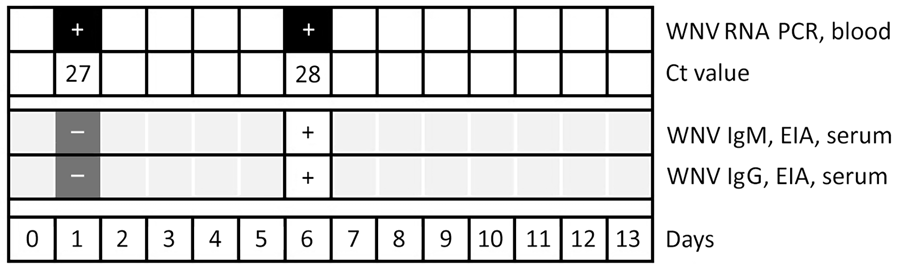 WNV testing results of a patient with WNV-associated hemophagocytic lymphohistiocytosis during hospitalization, Geneva, Switzerland. Ct, cycle threshold; EIA, enzyme immunoassay; WNV, West Nile virus.