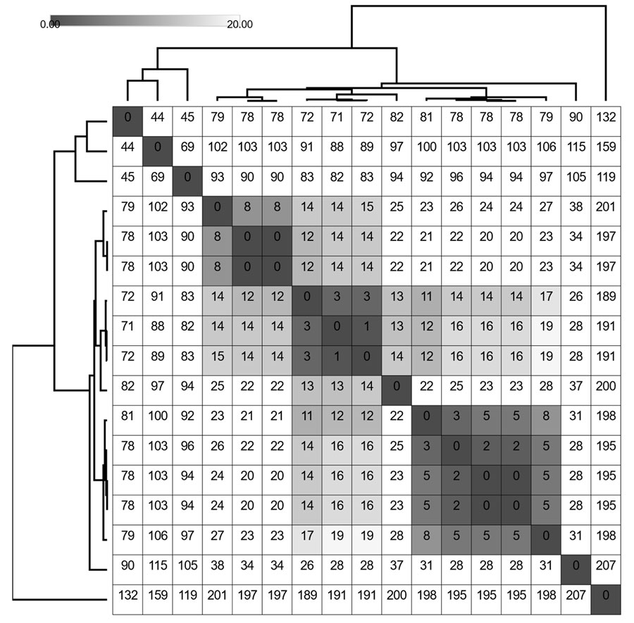 Pairwise single-nucleotide polymorphism (SNP) matrix of Neisseria gonorrhoeae sequence type (ST) 11184 genomes from disseminated gonococcal infection cases, Minnesota, USA. We clustered and visualized the matrix by using Morpheus (https://morpheussoftware.net) from  SNPs identified within a reference-based genome alignment we generated by using the Dryad v3.0 pipeline (4), with an internal reference genome. The grayscale shading represents SNP values of 0–20. The branches represent hierarchical clustering of rows and columns of pairwise SNP calls.