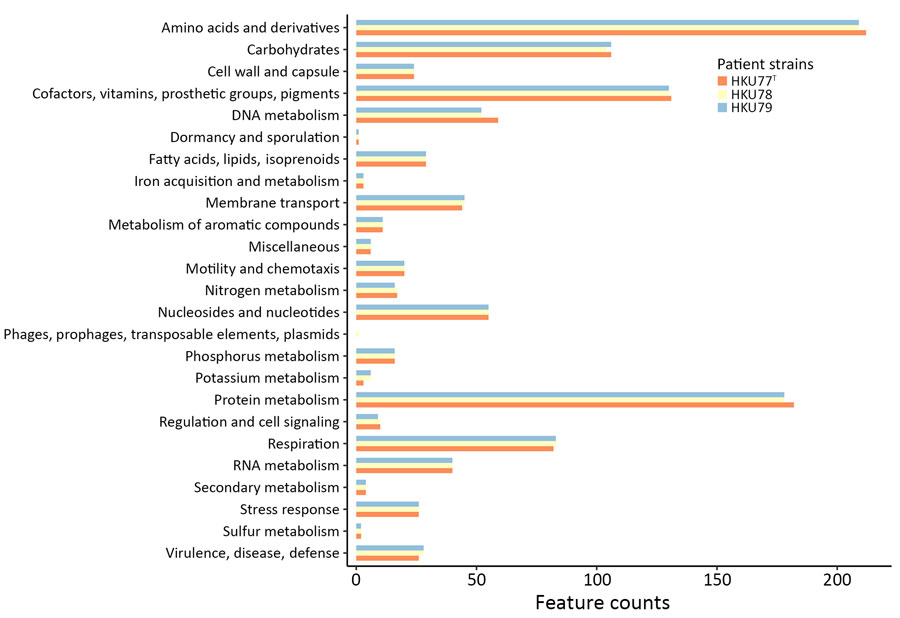 Comparison of feature counts of functional annotations from detection of novel thermotolerant Tepidimonas spp. bacteria in human respiratory specimens, Hong Kong, China, 2024. Annotations were determined by using Rapid Annotations using Subsystems Technology (Argonne National Laboratory, https://www.anl.gov/mcs/rast-rapid-annotation-using-subsystem-technology). Each functional category is represented by bars corresponding to the 3 patient strains of T. hongkongensis identified in this study.