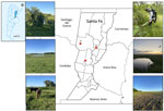 Geographic locations of mosquito collection sites in Santa Fe Province, Argentina, from study of epidemiologic, entomologic, and virologic findings during reemergence of western equine encephalitis virus, Argentina, 2023–2024. Red dots indicate collection localities: A) Arrufo, San Cristóbal Department; B) Marcelino Escalada, San Justo Department; C) Sa Pereyra, Las Colonias Department. Images are from specific sampling environments. Lefthand side from top to bottom: Centers for Disease Control and Prevention light trap in a patch of Espinal forest, temporary water pool in Arrufo, cop fields near Marcelino Escalada. Righthand side from top to bottom: mosquito aspiration in an Espinal forest patch, floodplain pool, and crop fields near Marcelino Escalada. Inset map shows location of study area in Argentina.